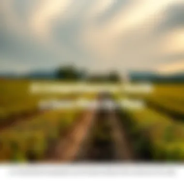 Magnificent A Comprehensive Guide to Farm Plots for Sale