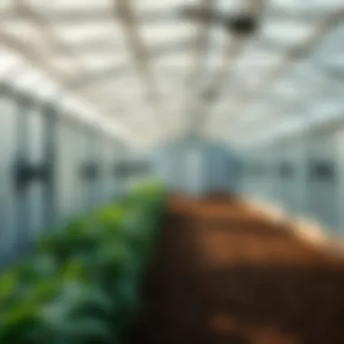 Efficient Air Circulation in Agricultural Storage Facilities Agricultural storage facility with efficient air circulation