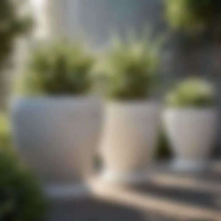 Various designs of white planters arranged aesthetically in a garden setting, highlighting their visual appeal.