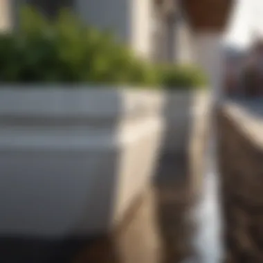 Drainage Systems in White Planters A detailed shot of drainage systems in white planters, illustrating their importance for plant health.