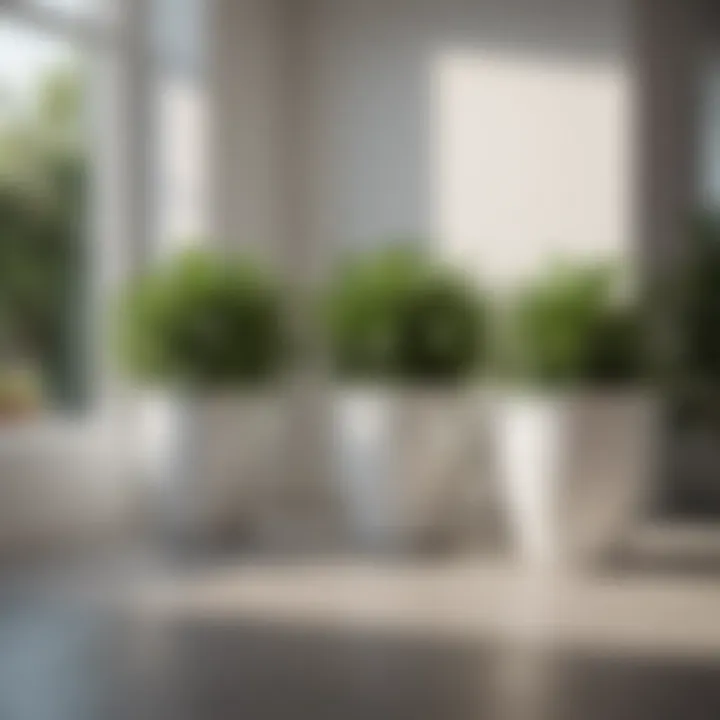 A well-maintained white planter with thriving plants, emphasizing the relationship between planters and plant growth.