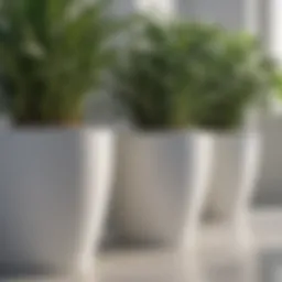 A close-up view of the materials used in white planters, showcasing different textures and finishes.