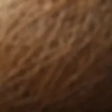 Close-up view of coconut husk fibers showcasing texture and color