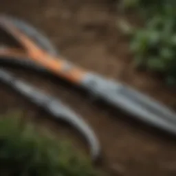 Close-up of various pruning scissors showcasing their unique designs.