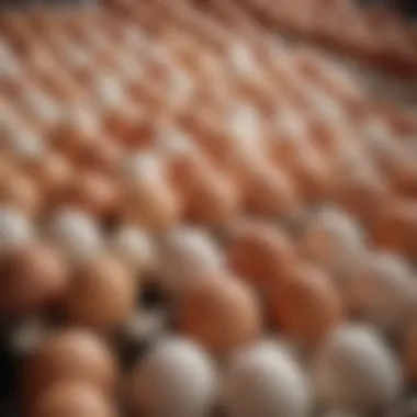 Market display of farm eggs