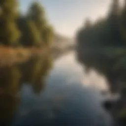 A serene lake affected by pollution, showcasing contrasting clean and polluted areas.