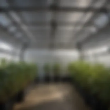 Interior View of a Grow Tent Interior view of a well-set grow tent