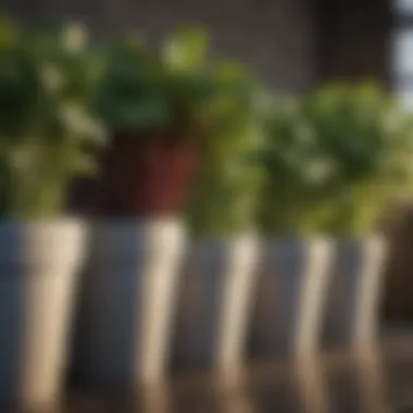 Comparing Cost-Effective Fabric Pots Cost-effective fabric pot options lined up for comparison