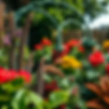 Thriving Garden with Effective Pest Control A thriving garden protected from pests