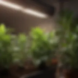 Close-up of an LED grow light illuminating diverse plants