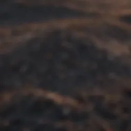 Various feedstocks used for biochar production