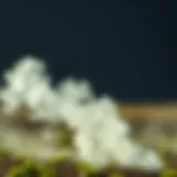 Illustration of carbon emissions from fertilizer production