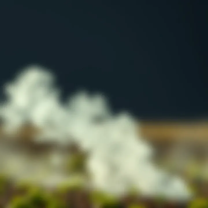 Illustration of carbon emissions from fertilizer production