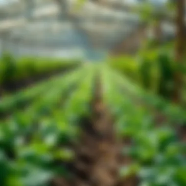 Visual representation of sustainable agricultural practices to reduce emissions