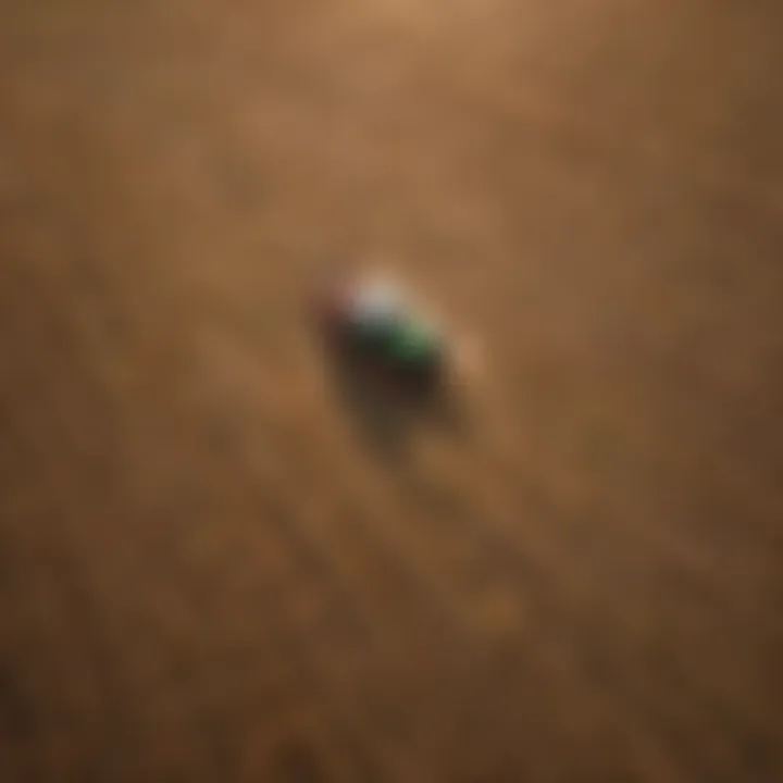 Aerial view of vibrant fields using advanced imaging technology