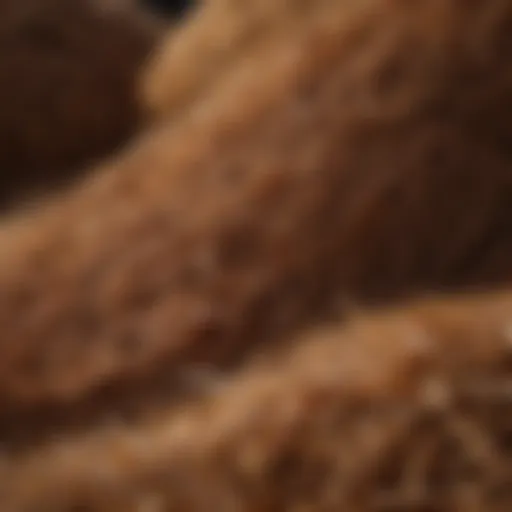 Close-up view of coconut coir fibers showcasing texture and quality