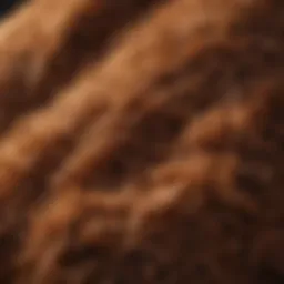 Close-up of coco coir fibers showcasing texture and structure