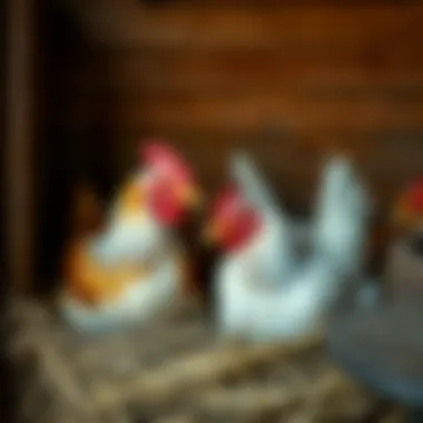 Chickens comfortably resting in their nesting spaces