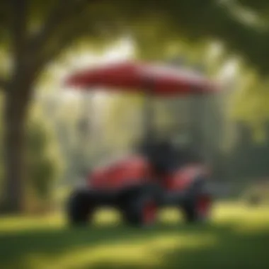 Customizable features of the Craftsman mower canopy