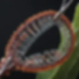 Illustration depicting the CRISPR gene editing mechanism