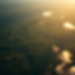 Aerial view of the Amazon rainforest showcasing deforestation effects