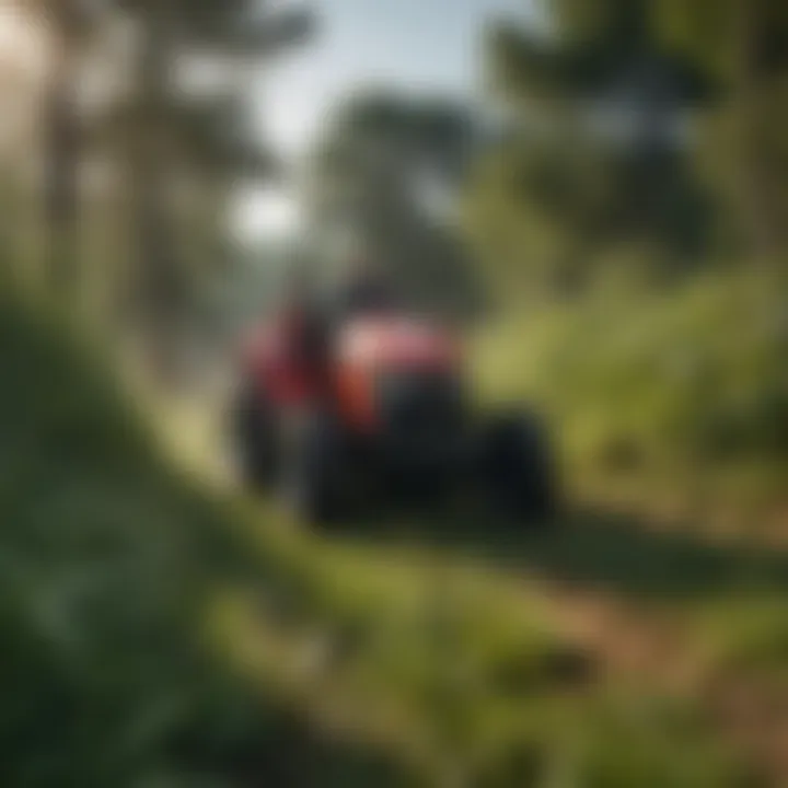 Close-up of Del Morino mower cutting through dense vegetation