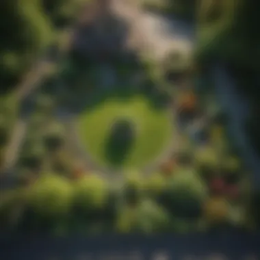 Preventive Measures in Garden Design An aerial view of a garden layout indicating effective preventive measures against moles