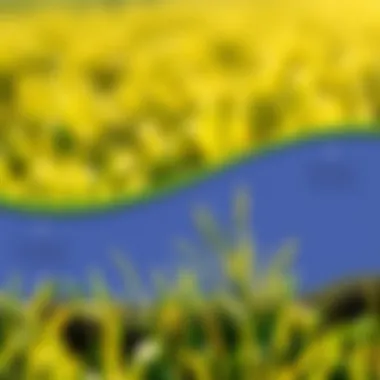 Ecological Impact of Tall Fescue Diagram illustrating the ecological impact of tall fescue