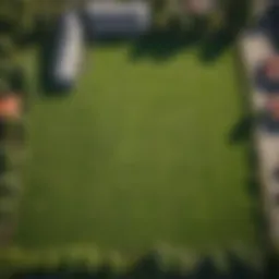Aerial view of a beautifully leveled yard showcasing its lush green grass.