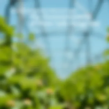 Chart illustrating the environmental benefits of using plant safe fungicides