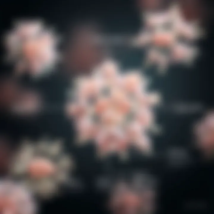 Diverse Strains of E. coli Illustration depicting the various strains of E. coli and their specific characteristics and implications