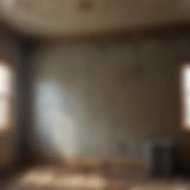 Before and After Mold Remediation A residential setting before and after mold remediation using foggers.