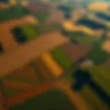 Aerial Perspectives in Agriculture Aerial view of a vast agricultural landscape showcasing crop patterns