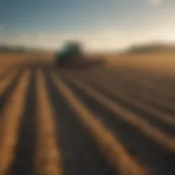 Vibrant agriculture fields in Raleigh showcasing various crops