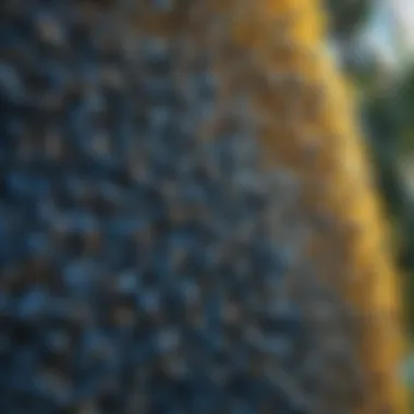 A colony of blue bees in a lush garden.