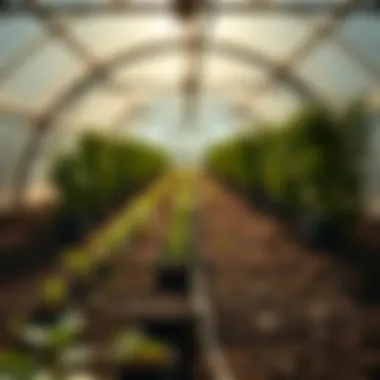 Climate Considerations for Earthen Greenhouses Diagram illustrating climate considerations for earthen greenhouse construction
