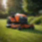 Overview of an extra wide walk behind mower in a landscaped garden