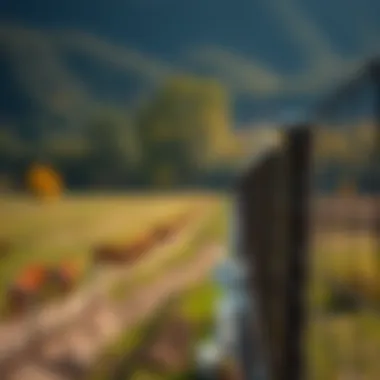 Legal considerations in fencing for agriculture