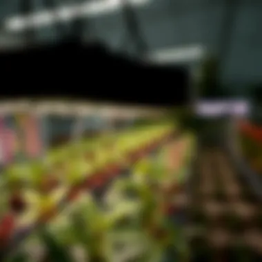 Energy efficiency features of raptor grow lights