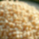 Close-up of perlite granules showcasing their porous structure.