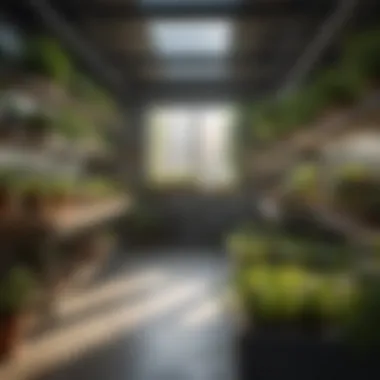 An aquaponics shop interior filled with equipment and plants.