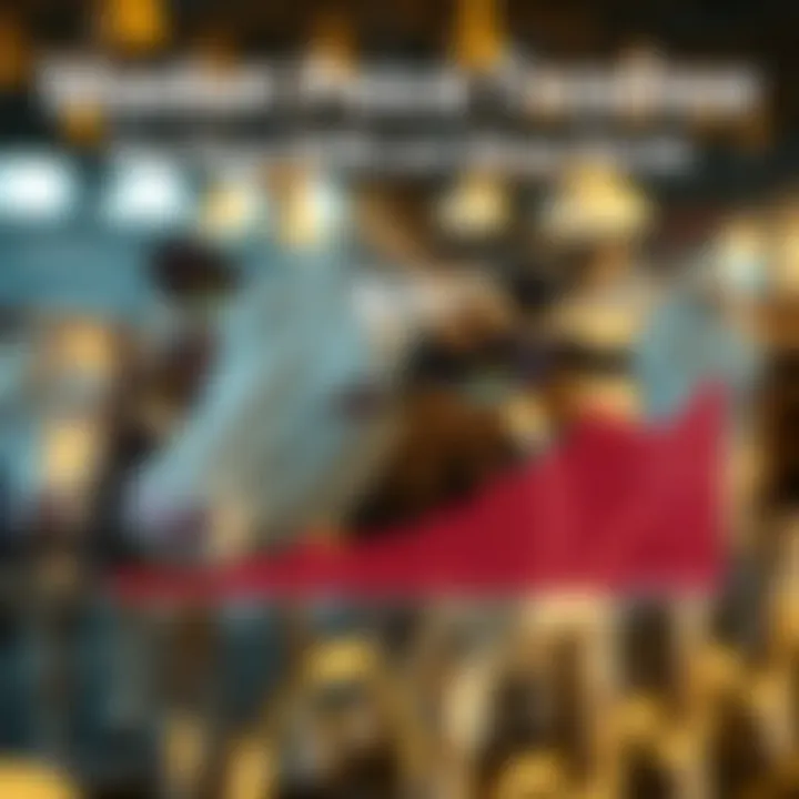 Market Price Trends Overview Graph showing price trends for milk replacer