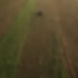 Aerial view of diversified crop fields showcasing sustainable farming techniques
