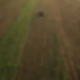 Aerial view of diversified crop fields showcasing sustainable farming techniques