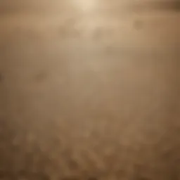 An aerial view of a barren landscape affected by drought, showcasing the harsh realities of famine.