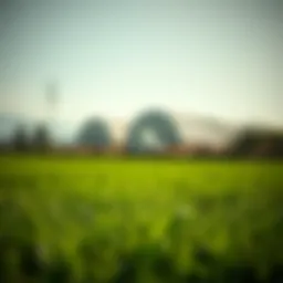 Exploring the Utility and Benefits of Grass Covers in Agriculture Introduction