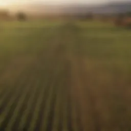 Vast agricultural landscape in California with crops and farmland