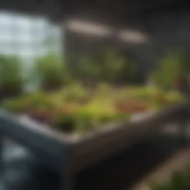 Optimized Flood Table Configuration A well-designed flood table setup showcasing healthy plants thriving in a hydroponic environment