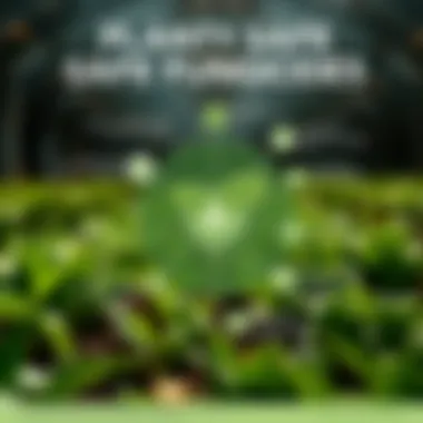 Infographic showing the mechanisms of action of plant safe fungicides