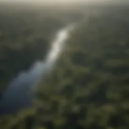 Aerial view of the Amazon Rainforest showcasing its vastness